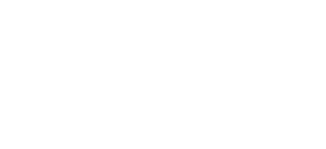 Make in India